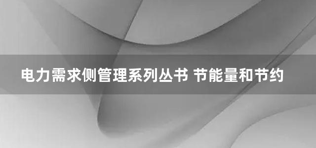 电力需求侧管理系列丛书 节能量和节约电力测量与核证